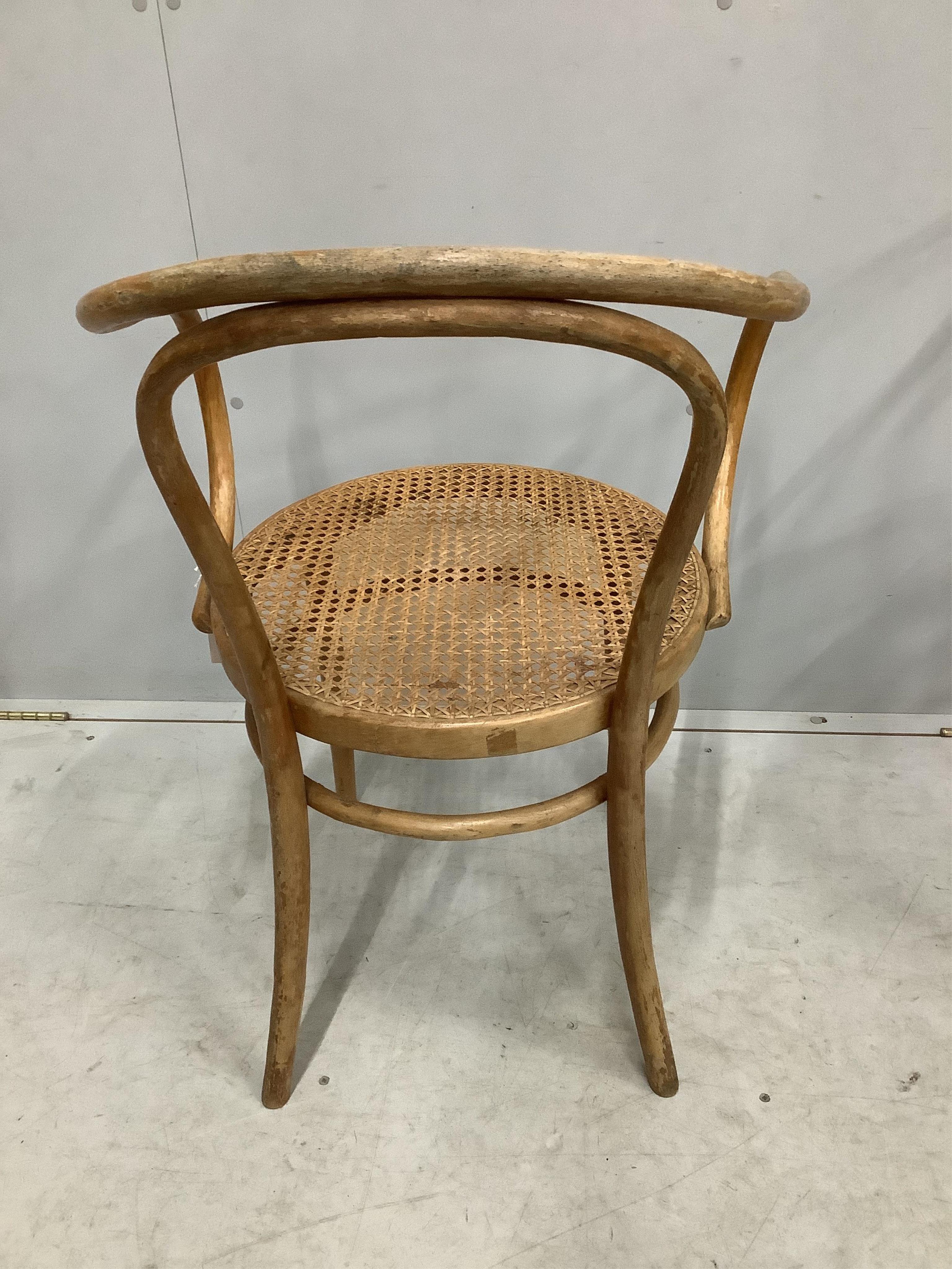 A set of four Thonet bentwood cane seat chairs, model no. 209, width 58cm, depth 48cm, height 84cm. Condition - fair